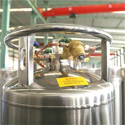 Cum să alegi dimensiunea potrivită a unei butelii de gaz GNL?